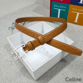 Celine Medium Triomphe Frame Belt In Triomphe Smooth Calfskin Brown