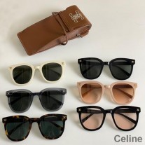 Celine CL50232 Triomphe Round Sunglasses In Acetate With Signature